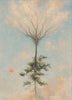 Rooted Sky Living Art — artwork-only motion