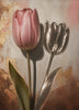 Chrome Tulip Shadow interior Living Art animation