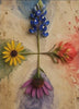 Bloom Compass Opens Living Art animation — four wildflowers meeting at a shared center on weathered parchment.