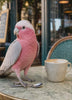 The Café Regular interior Living Art animation