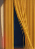 Pasta Curtain — Living Art motion inside the artwork opening