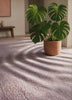 Monstera Morning artwork-only Living Art motion